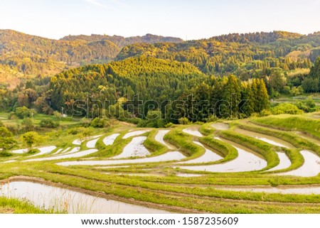 Shutterstock Puzzlepix