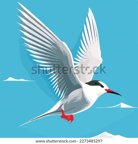 Arctic tern in arctic skies. Arctic birds in natural habitat. Flat vector illustration concept