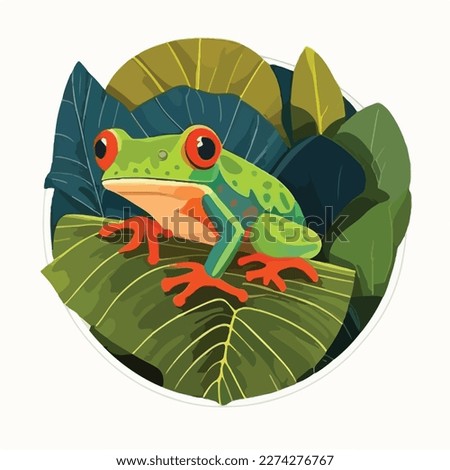 Red-eyed tree frog on a tropical leaf in the rainforest. Tropical rainforest reptiles animals. Flat vector illustration concept