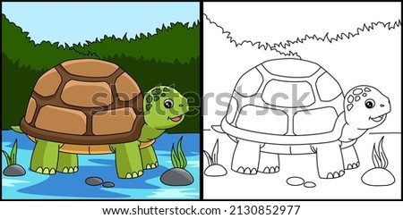 Turtle Coloring Page Colored Illustration
