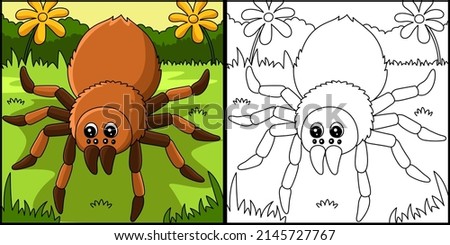 Tarantula Animal Coloring Page Illustration