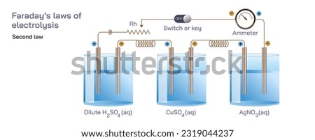 Faraday's First Law and second law of Electrolysis vector illustration. chemical reaction at electrode under electrical energy proportional to electricity passed through electrolyte. general physics 