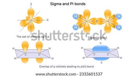 Covalent bonds happen when atoms share electrons. Sigma bonds are the first type of covalent bond, formed by overlap of atomic orbitals head to head. Sigma and pi bonds vector illustration. molecule