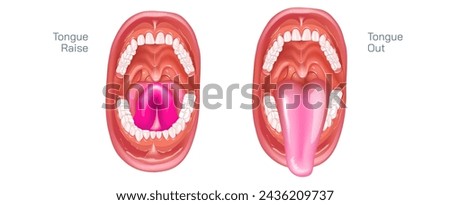 Tongue out and tongue raised vector illustration. mouth wide open and the oral cavity aspects include the lips, tongue, palate, and teeth. Although a small compartment, the oral cavity is a unique.