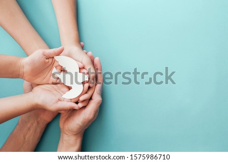 Adult and child hands holding white dove bird on blue background, international day of peace or world peace day concept, sustainable consumption, csr responsible business, animal rights, hope concept