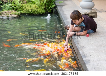 UDONTHANI, THAILAND - AUGUST 4, 2015: Thai woman feeding colorful Koi carps in tropical pond.Feeding Koi fish with baby milk bottle.