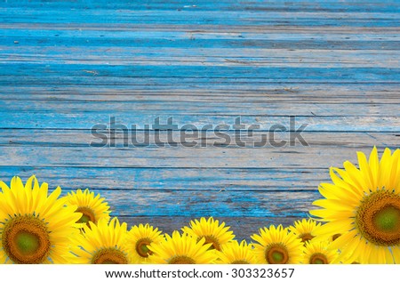 Sunflower Background for presentation/Sunflower Background/Sunflower