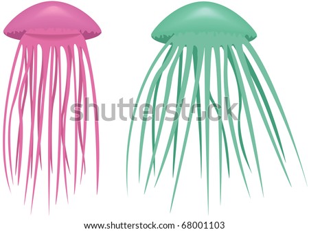 Raster illustration, pink, and green jelly-fish on a white background.