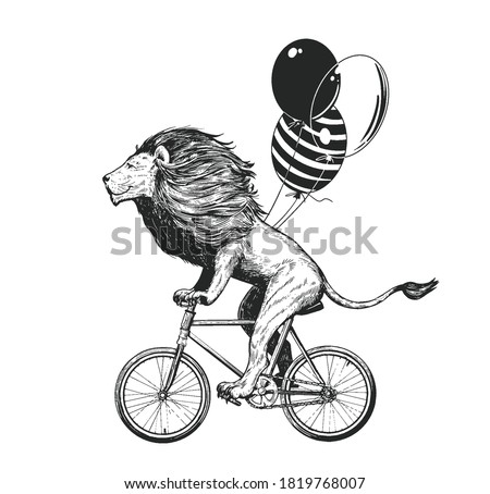 Lion Rides Bicycle with Balloons Vector Illustration. Vintage Mascot Cute Lion Cycle Bike Isolated on White. Happy Birthday Animal Character Black and White Sketch. Flat Outline Grunge Drawing