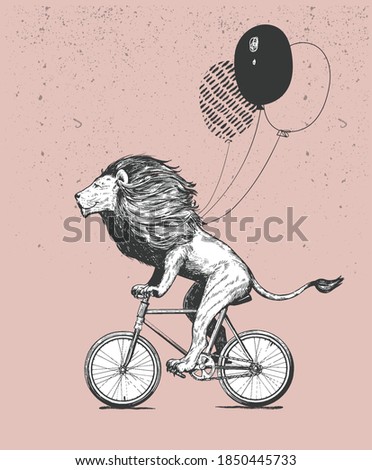 Similar – Image, Stock Photo Teddy rides with Bicycle
