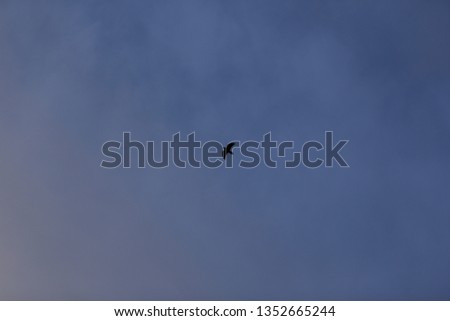 Similar – Image, Stock Photo Grand Canyon III USA