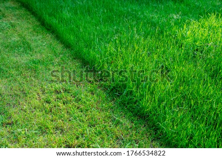 Partially cut grass lawn. Green fresh grass. Difference between perfectly mowed, trimmed garden lawn or field for sports and long uncut grass. Lawn, carpet, natural green trimmed grass field