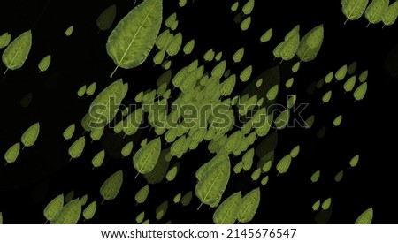 Abstract green birch leaves are blown by the wind in endless space. Bezera leaves fly in the night sky. Close-up. Beautiful natural landscape. 3D. 4K. Isolated black background. Imagine de stoc © 