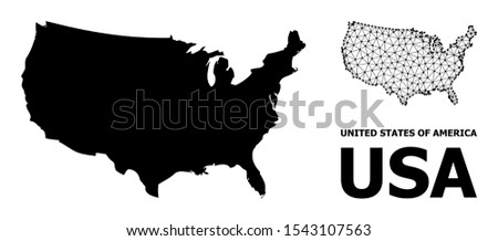 Solid and mesh vector map of USA. Wire carcass 2D polygonal network in vector format, geographic models for political illustrations. Illustrations are isolated on a white background.