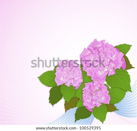 Background with hydrangea. Vector decorative background with a composition of hydrangea flowers.
