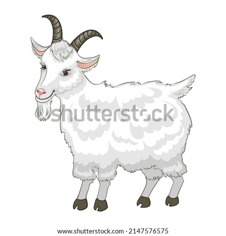 Vector illustration of goat, isolated on white