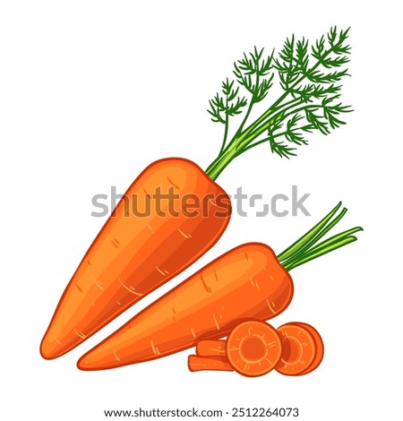 Carrot, whole and sliced, vector illustration isolated on white background, eps10