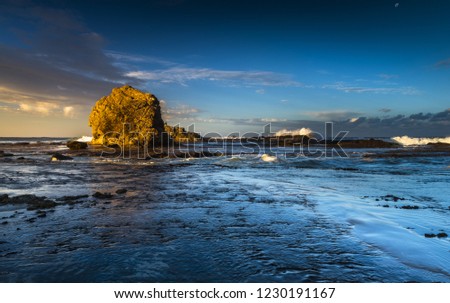 Shutterstock Puzzlepix