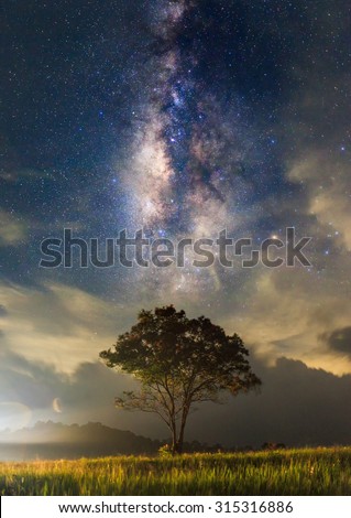The milky way and the tree stand alone