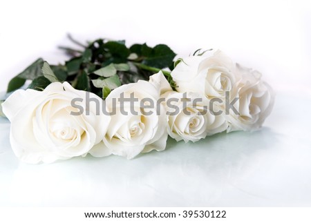 White roses on white ground