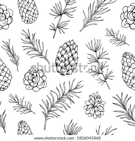 Pine cone and fir tree seamless vector pattern.  Botanical hand drawn vector background. Great for greeting cards, backgrounds, holiday decor. Background for Christmas and New Year design.