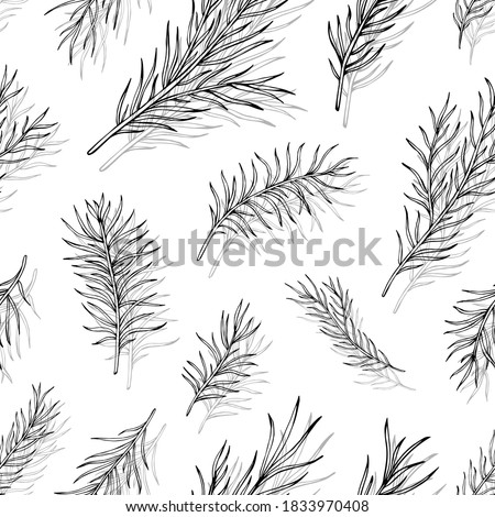 Pine needles hand drawn vector seamless pattern. Great for greeting cards, backgrounds, holiday decor. Background for Christmas and New Year design.