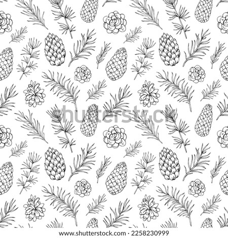 Pine cone and fir tree seamless pattern. Botanical hand drawn. Great for greeting cards, backgrounds, holiday decor. Background for Christmas and New Year design.