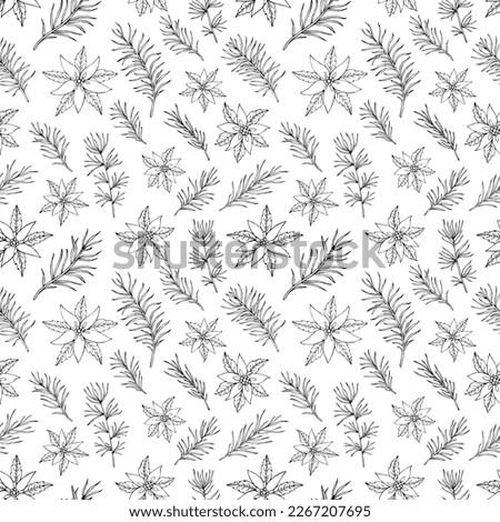 Poinsettia and fir tree seamless pattern. Botanical hand drawn vector background. Great for greeting cards, backgrounds, holiday decor. Background for Christmas and New Year design.