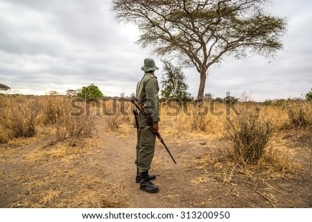 A park ranger working in the Tarangire National Park in northern Tanzania, Africa