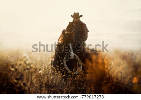 Similar – Foto Bild Sonnenuntergang mit Pferd