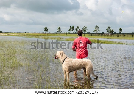 May 30, 2015 - Beverly Kaufman Dog Park, Katy, TX: dogs playing swim fetch in standing flood waters covering fields and trails