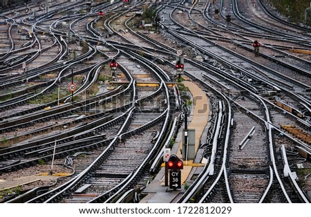 Railway tracks, which lead along between trees in perspective