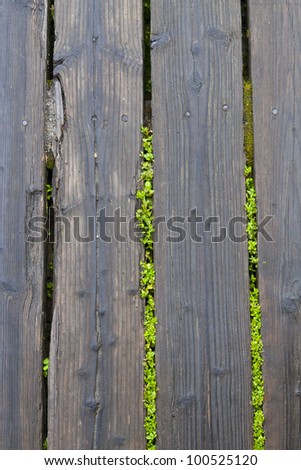 A close up photo of a section of wood fence.