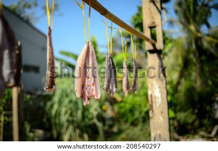 Spiced and dried snakehead fish at Ben Tre province, MeKong delta, Viet nam, Southeast Asia