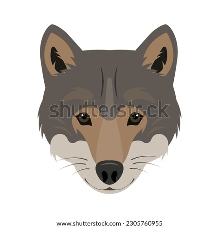 Wolf face or head. Wild grey wolf animal icon isolated on white background. Vector flat or cartoon illustration.