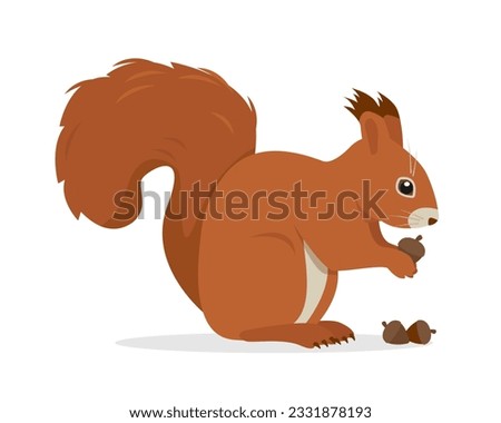 Squirrel animal with nuts or acorns. Wild mammal forest animal character. Red Squirrel with fluffy tail. Vector icon illustration isolated on white background.