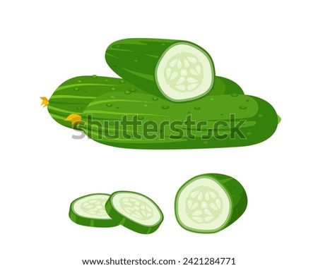 Set of fresh cucumbers and slices. Whole cucumbers and chopped cucumber with slices. Organic vegetables vegetarian food. Vector illustration isolated on white background.