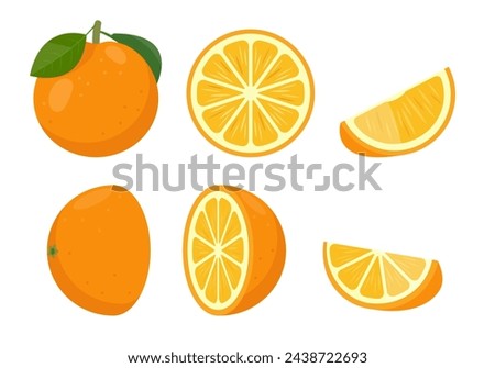 Fresh orange fruit set. Whole orange with leaves, oranges slices and cut orange fruit. Organic fruits for juice or vitamin C healthy food. Vector illustration isolated on white background.