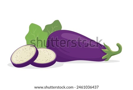 Fresh whole Eggplant and slices. Farm vegetable eggplant plant icon. Organic garden vegetarian food. Vector illustration isolated on white background.
