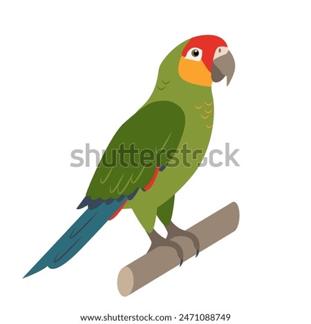 Parrot bird icon. Cute green parrot pet. Exotic tropical animal. Vector illustration isolated on white background.