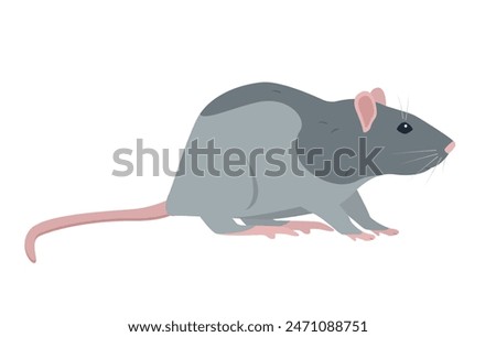 Sitting Rat front view. Little house mice or rat character with long tail isolated on white background. Rat icon Vector illustration.