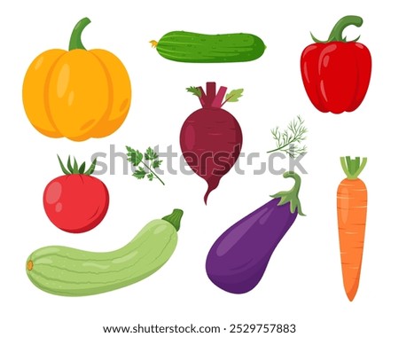 Set of fresh vegetables. Pumpkin, eggplant and zucchini, tomato and paprika, cucumber, carrot and beet icons. Organic vegetables vegetarian food. Vector illustration isolated on white background.