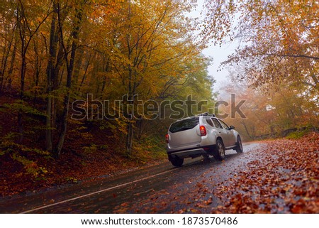 Car on a wet road through the forest covered with fallen leaves