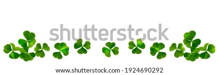 set. green clover leaves isolated on white background. St.Patrick 's Day. foliage shamrock