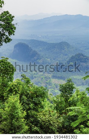 Scenic mountain landscape.Beautiful landscape of the forest background in a magical mist tropical green plants in a jungle. Forest background, nature, landscape