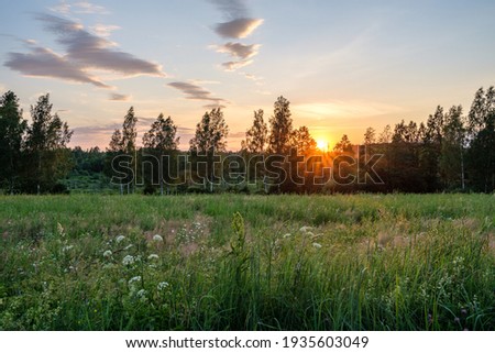 country landscape with green meadow and blue sky above. simple countryside
