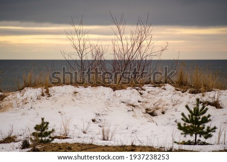 icy winter beach near the sea with frozen sand and ice blocks in the water. Cold dunes