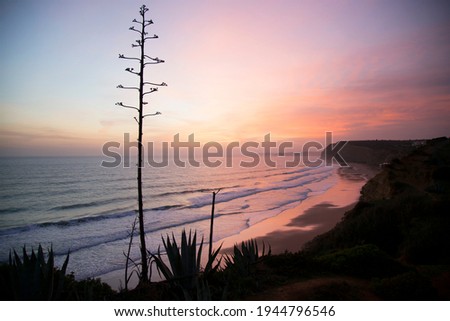 people love vacation with an evening beach walk, surfing and swimming during sun set