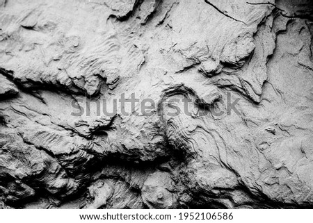 Image of ground, textured background image of space of nature floor.