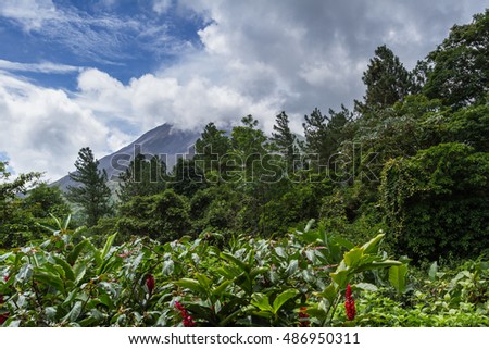 Similar – Image, Stock Photo Fog Impressions Wellness